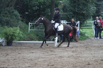 Bild 468 - WBO-Turnier am 18.9.11